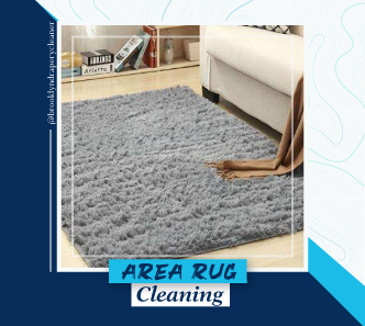 carpet cleaning in brooklyn, carpet cleaning in new york, carpet cleaning brooklyn, carpet cleaners in brooklyn, carpet cleaners in new york, commercial carpet cleaning, commercial carpet cleaning in brooklyn, brooklyn rug cleaners, rug cleaning services in brooklyn, same day carpet cleaning, same day rug cleaning